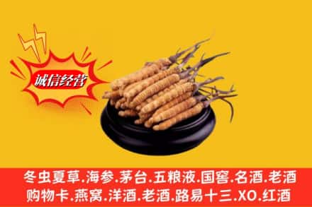 潍坊奎文区名酒回收冬虫夏草.jpg